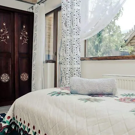 Belmont ザコパネ