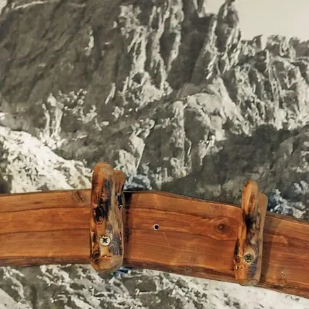 홈스테이 Belmont