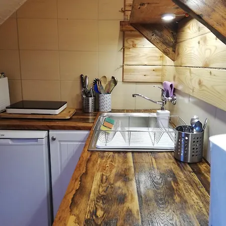 Belmont Проживание в семье *